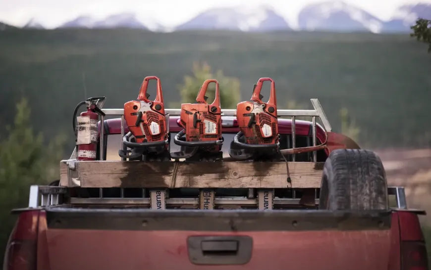 Which Chainsaw is Right for You?